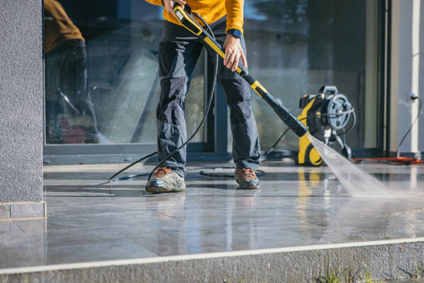 Best Solar Panel Cleaning  in Ladonia, AL