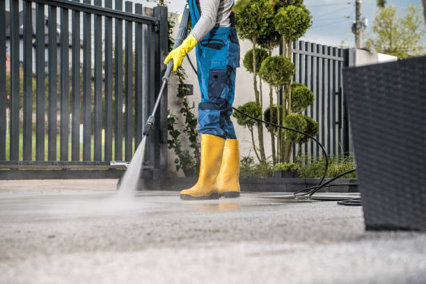 Best Patio and Deck Pressure Washing  in Ladonia, AL